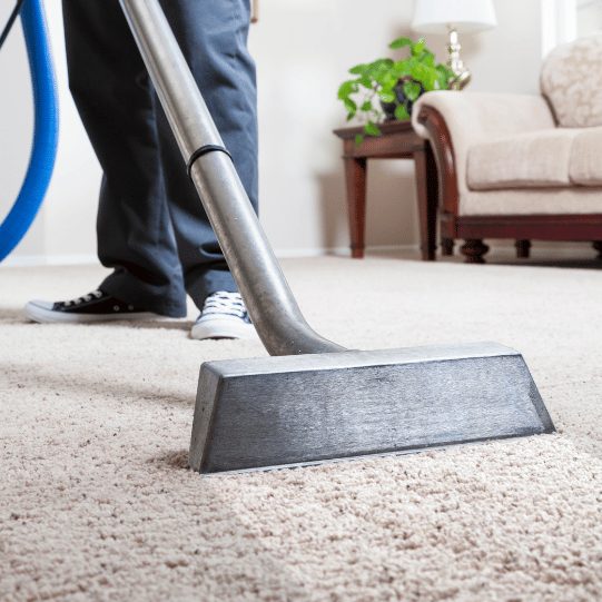 Professional Carpet and Rug Cleaning in Sydney