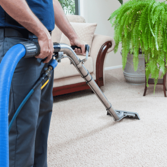 carpet cleaners Sydney