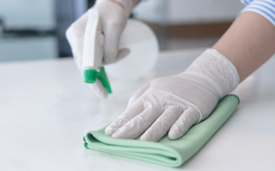 regular cleaning service