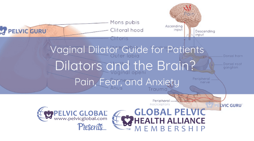 Vaginal Dilator Guide for Patients. Dilators and the Brain? Pain, Fear, and Anxiety