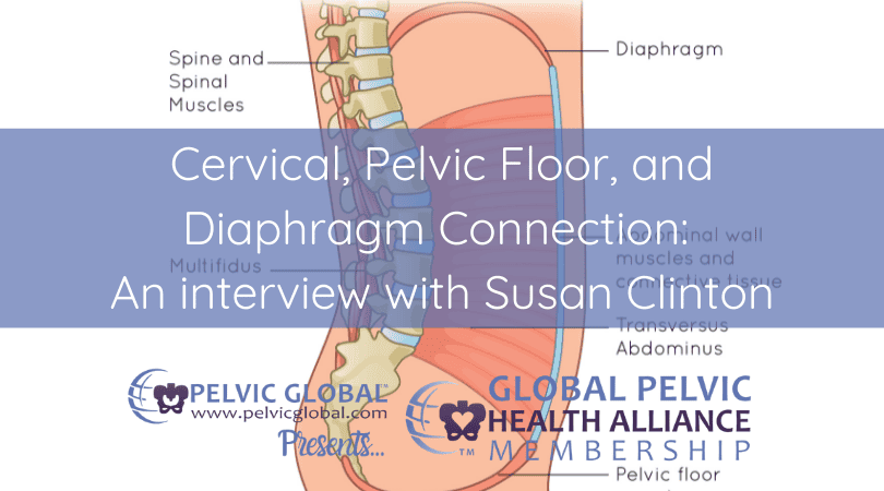Interview with Susan Clinton about her Cervical, Diaphragm, and Pelvic Floor course for pelvic physical therapists