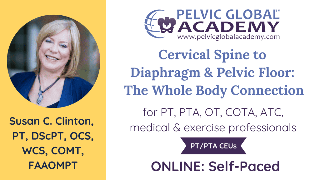 Susan Clinton teaching an amazing course on the relationship between the cervical spine, the diaphragm, and the pelvic floor for pelvic physical therapists and fitness professionals.