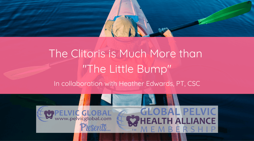 The Clitoris is Much More than "The Little Bump"