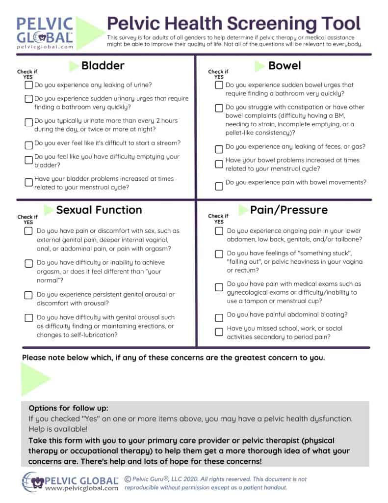 Pelvic Health Screening Tool preview of the download